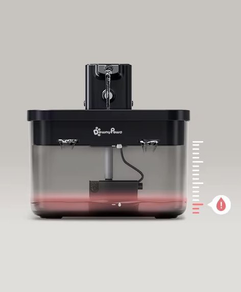 Fontaine à Eau pour Chat 2,5 L – Automatique 2 en 1, Sans fil, Capteur Intelligent, Eau Filtrée (2)