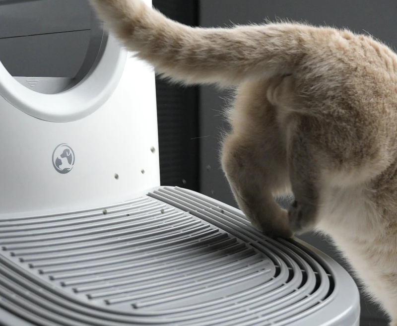 Marche-Pied 3-en-1 pour chat pour Bac à Litière Autonettoyante - FUROOMATE (3)